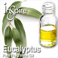 Fragrance Eucalyptus - 50ml - Click Image to Close